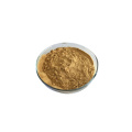 Organic Cordyceps Militaris Extract Cordycepin 1% 2%